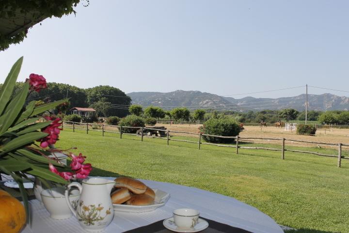 Residential Horse Club Costa Brava Hostel Santa Cristina d'Aro Bilik gambar